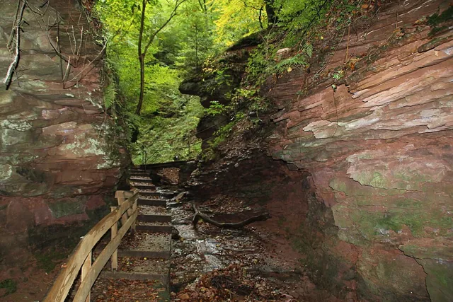 Buntsandsteinfelsen in der Seltenbachschlucht
